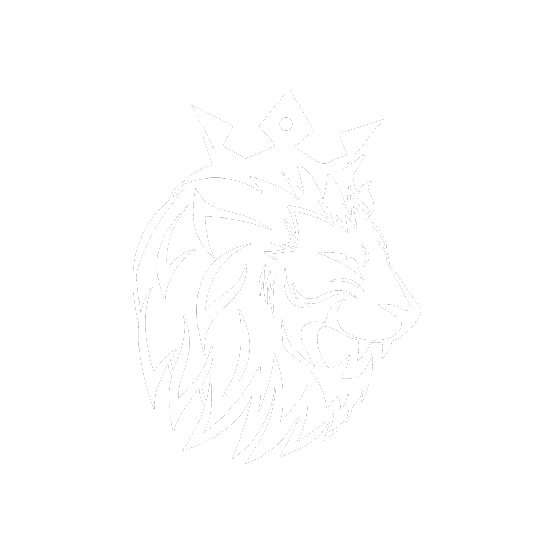 Kings Summer League